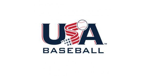 Baseball and Baseball Bat Logo - Shaved & Rolled 2019 USA Stamped 2 5/8 Barrel Youth Bats