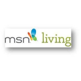 MSN Lifestyle Logo - MSN Lifestyle Becomes MSN Living