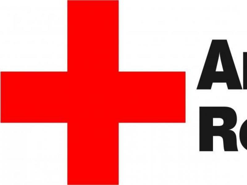 Sewing Red Cross Logo - Sandi Pointe