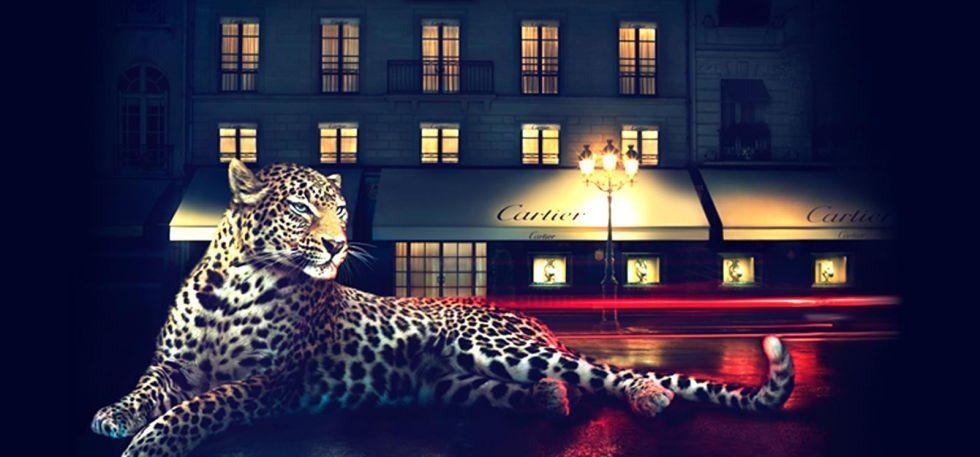 Cartier Panther Logo - The Classic Aesthetics of Nature and Innovation: Cartier Panthère
