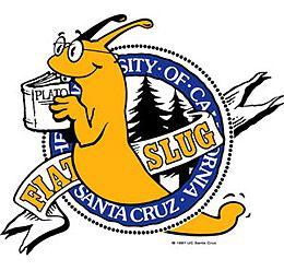 Santa Cruz Basketball Logo - UC Santa Cruz Banana Slugs