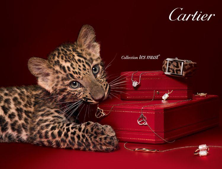 Cartier Panther Logo - Cartier Panther Cub - AM