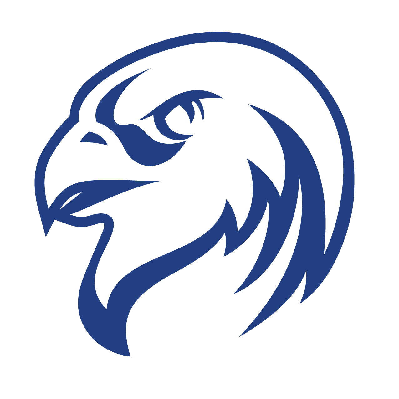 blue falcon meaning army