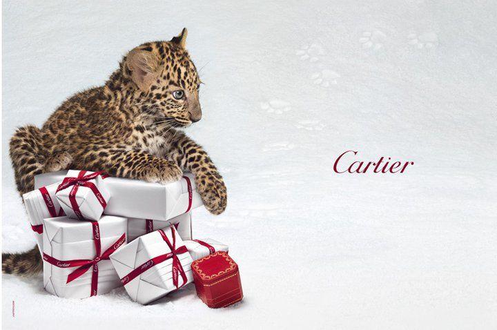 Cartier Panther Logo - Cartier's Snow Panther Winter Tale Campaign