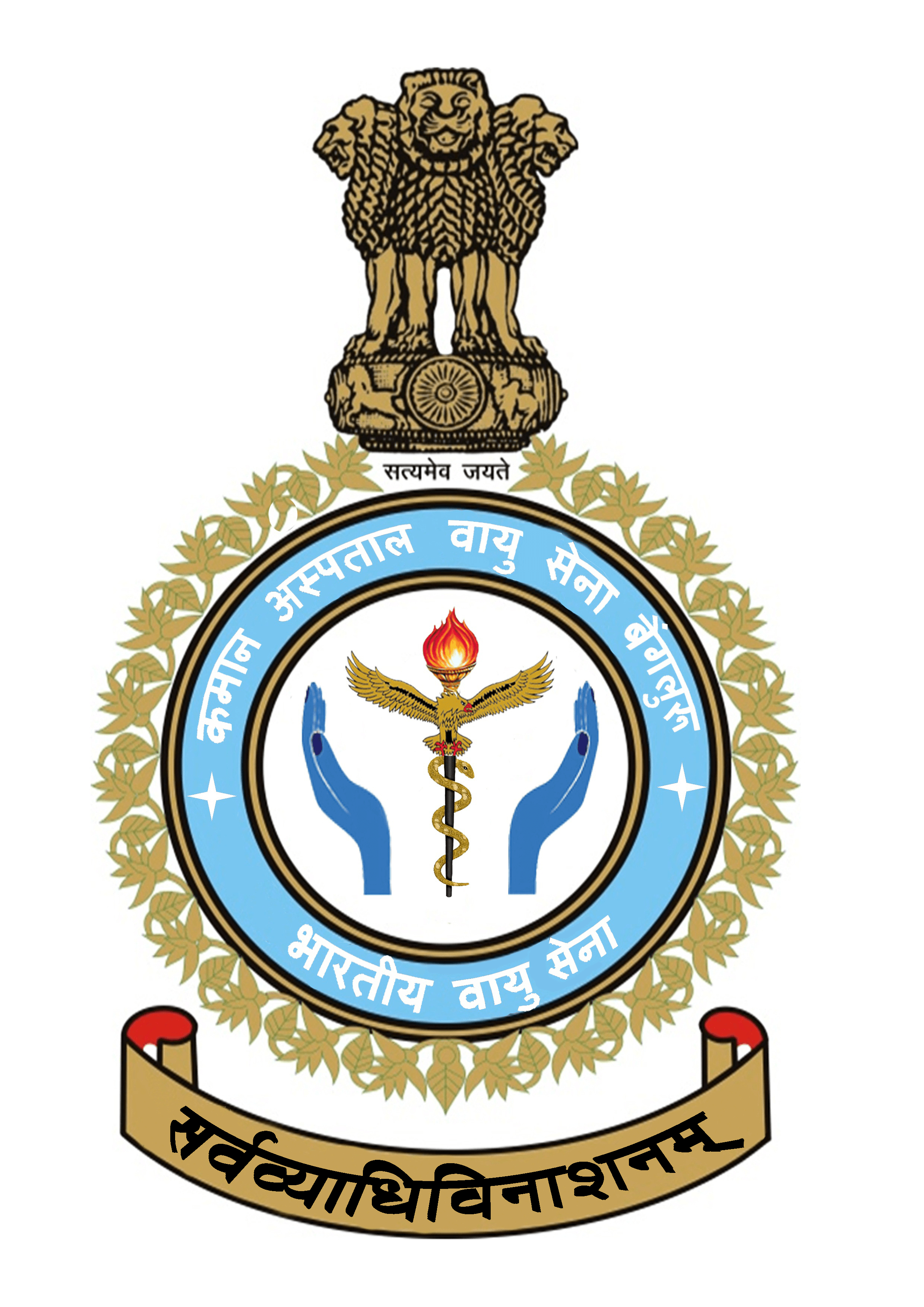 www Air Force Logo - COMMAND HOSPITAL AIR FORCE BANGALORE | Indian Air Force | Government ...