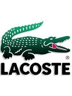 Crocodile Fashion Logo - 80s fashion | Who remembers these logos on our clothing!?? | 80s ...