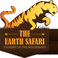 Wildlife Safari Logo - One Tank Trips Wake Up The Wild At African Lion Safari Logo Image