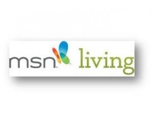 MSN Lifestyle Logo - Stay on Top of Social Media and Web Trends with msnNOW