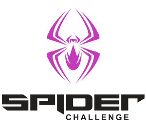 Pink Spider Logo - Spider Challenge High Ropes Course | Marble Zip Tours
