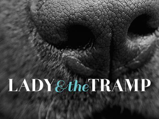 Lady and the Tramp Logo - Lady & the Tramp's Business Branding - Logo design, website design
