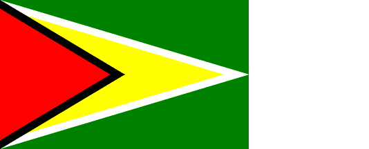 Green with Yellow Triangle Logo - Guyana