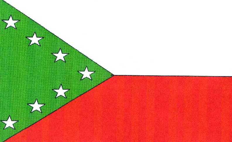 Green Triangle Flag Logo - Tipacoque (Boyaca, Colombia)