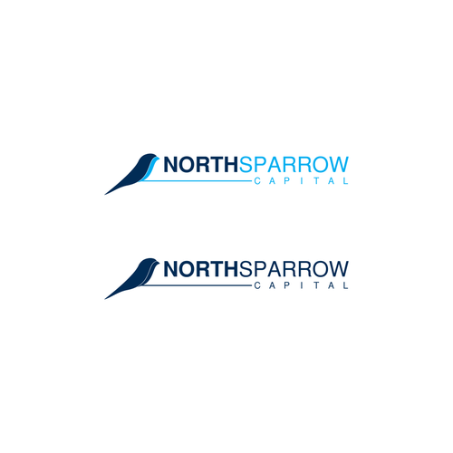 Brother Company Logo - NorthSparrow Capital, NorthSparrow, or NS awesome logo