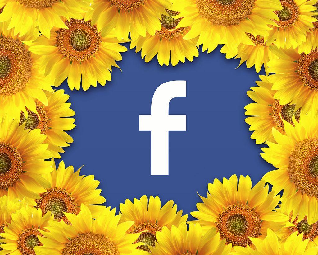 Yellow Flower Logo - Facebook Logo Surrounded By A Border Of Yellow Flowers