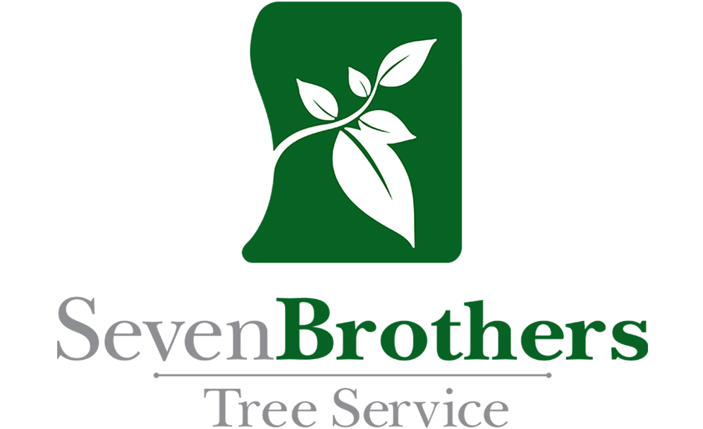 Brother Company Logo - Seven Brothers Tree Company