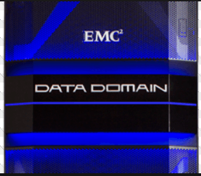 Data Domain Logo - Data Domain Training - for FREE! — Not Your Dad's IT