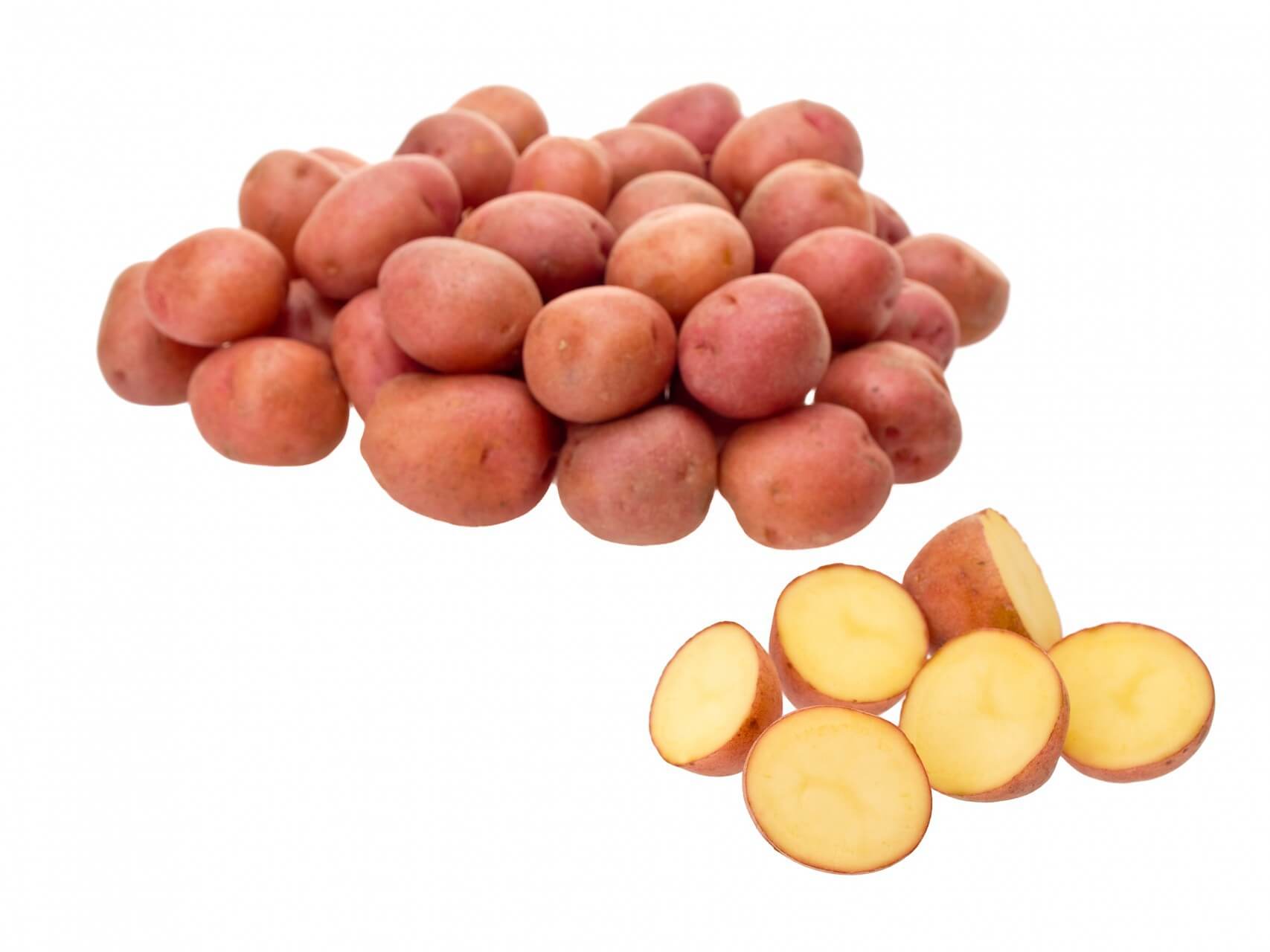Red Potatoes Logo - Red Potato Varieties & Red Potato Products
