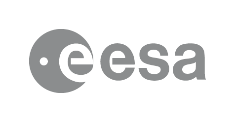 Grey Logo - ESA Logotype
