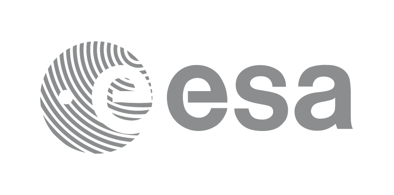 Grey Digital Logo - ESA Logotype