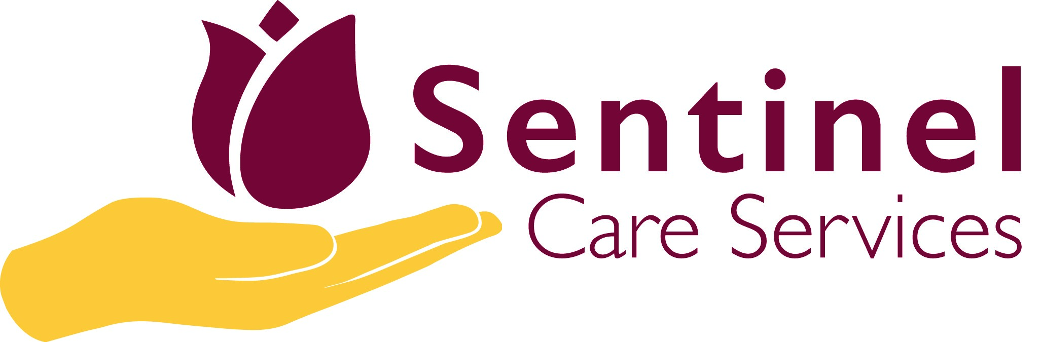 Company Sentinel Logo - Sentinel Care Services Logo Care Services