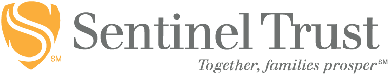 Company Sentinel Logo - Home Page
