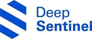 Company Sentinel Logo - Deep Sentinel Named a CB Insights' AI 100 2018 Company