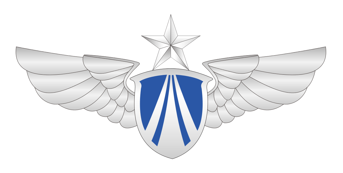 Military Aircraft Logo - People's Liberation Army Air Force