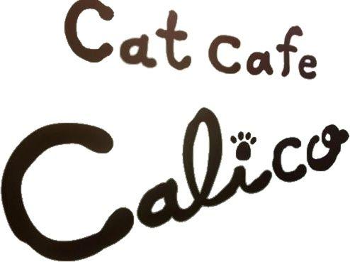 Google Calico Logo - Info & Reservations for Cat Cafe Calico in Tokyo, JP