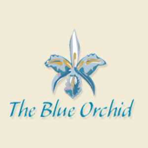 Blue Dublin Logo - Blue Orchid Asian Restaurant Dublin Ireland, Car Hire