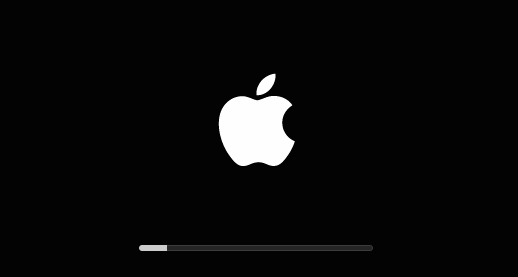 Black and White Apple Logo - How to fix a Mac Stuck on Apple Logo Progress Bar