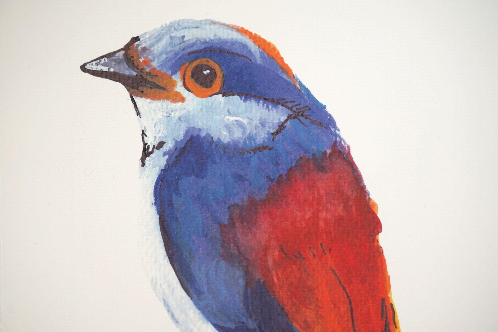 Red and Blue Bird Logo - Lotte Drouen Red Blue Bird