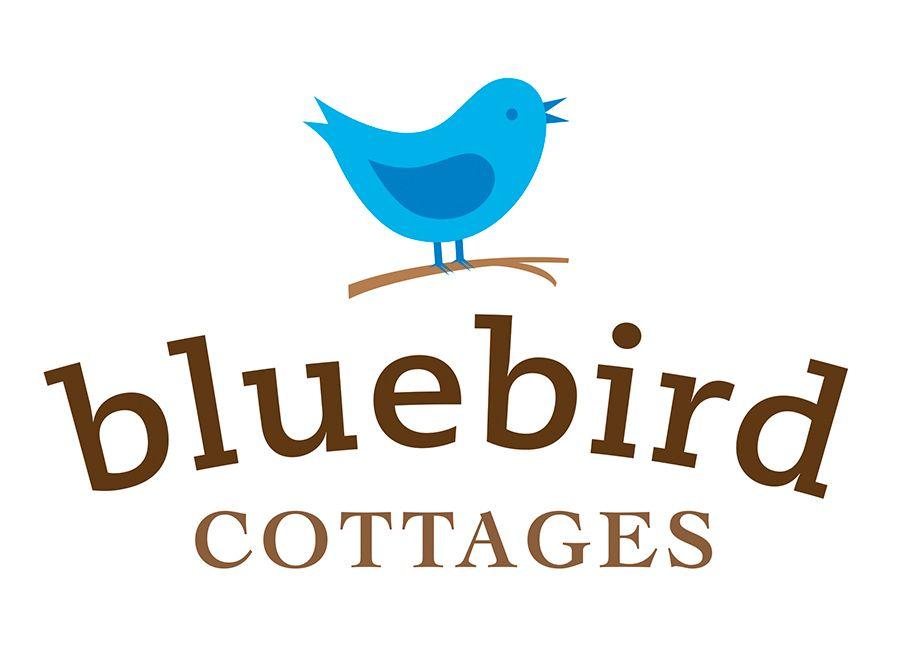 Red and Blue Bird Logo - Website, Logo, Print, Video. Our portfolio of client work. | Big Red ...