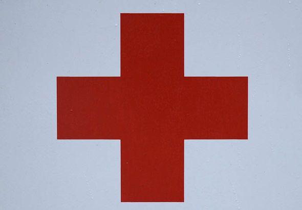 T and Red Cross Logo - Red Cross object to emblem on Nurse Dorothy Dumpling's panto costume ...