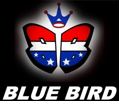 Red and Blue Bird Logo - Blue Bird Servo