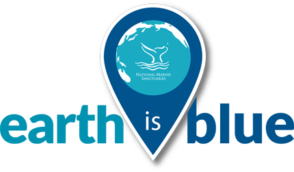 Teal and Blue Logo - Your Earth Is Blue | Earth Is Blue Magazine Vol. 2 | Office of ...