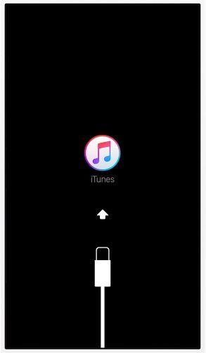 Black and White Apple Logo - iPhone / iPad Flashing Apple Logo, Fix - macReports