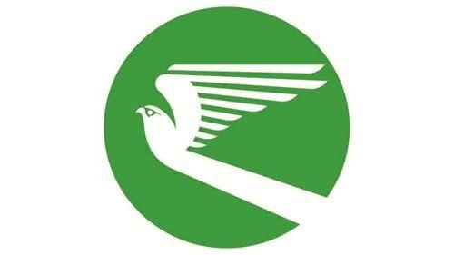 Green Airline Logo - Turkmenistan Airline on Twitter: 