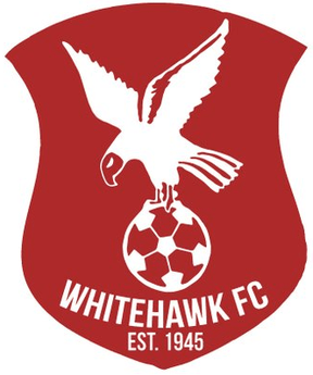 Red and White Hawk Logo - Whitehawk.png