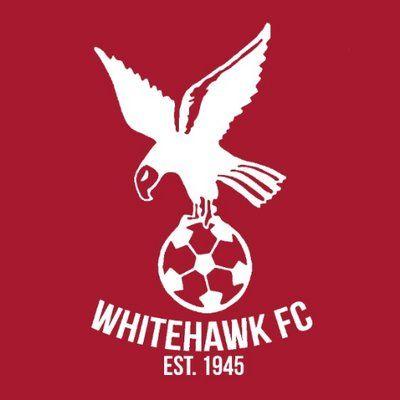 Red and White Hawk Logo - Whitehawk FC