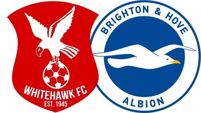 Red and White Hawk Logo - STATEMENT: Brighton & Hove Albion - Whitehawk FC