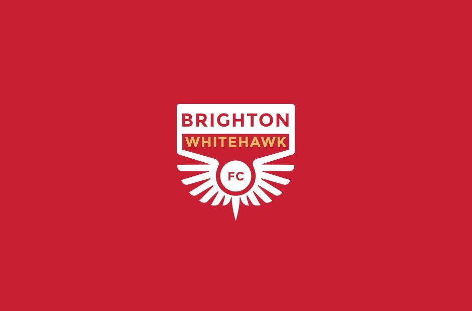 Red and White Hawk Logo - Brighton Whitehawk FC Rebrand — Calum Harbison Design Portfolio