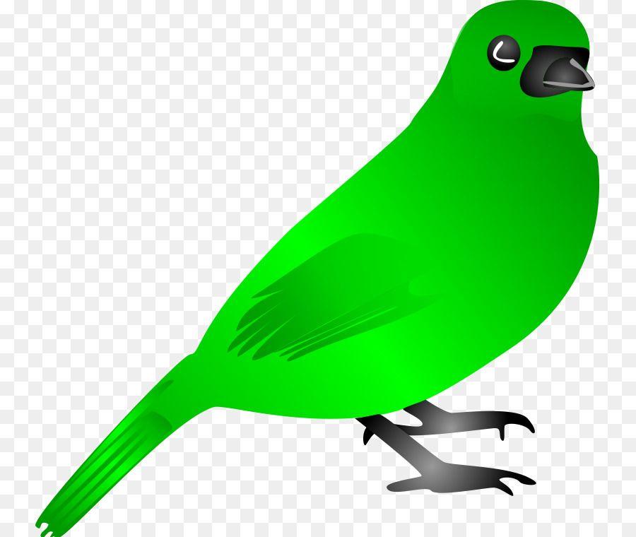 Green Bird Airline Logo - Bird flight Green Clip art Clipart png download
