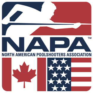 Pool League Logo - NAPA Pool Leagues