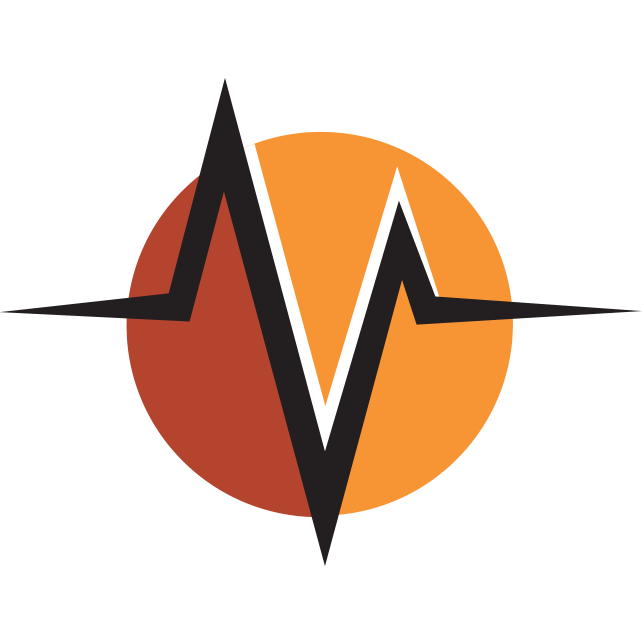 Vanguard Logo - Healthcare Marketing | Websites & PR | Vanguard Communications
