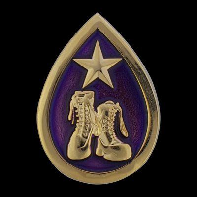 Purple and Gold Star Logo - Purple Gold Star Tear Drop Suicide Awareness Pin | 4Heros