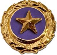 Purple and Gold Star Logo - About Gold Star Families | Captain Joseph House Foundation
