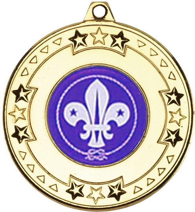 Purple and Gold Star Logo - Gold Star & Pattern Medal with 1