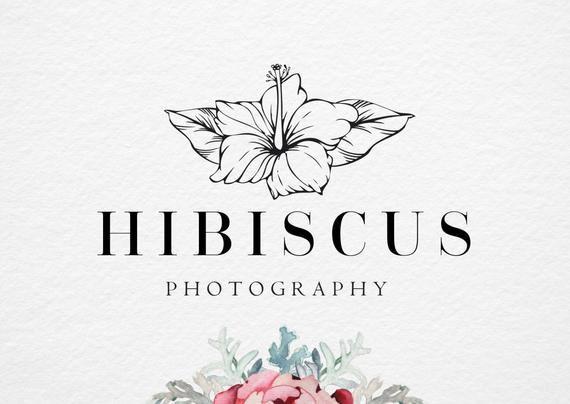 Hibiscus Logo - Hibiscus logo Handdrawn Flower Premade logo Photography