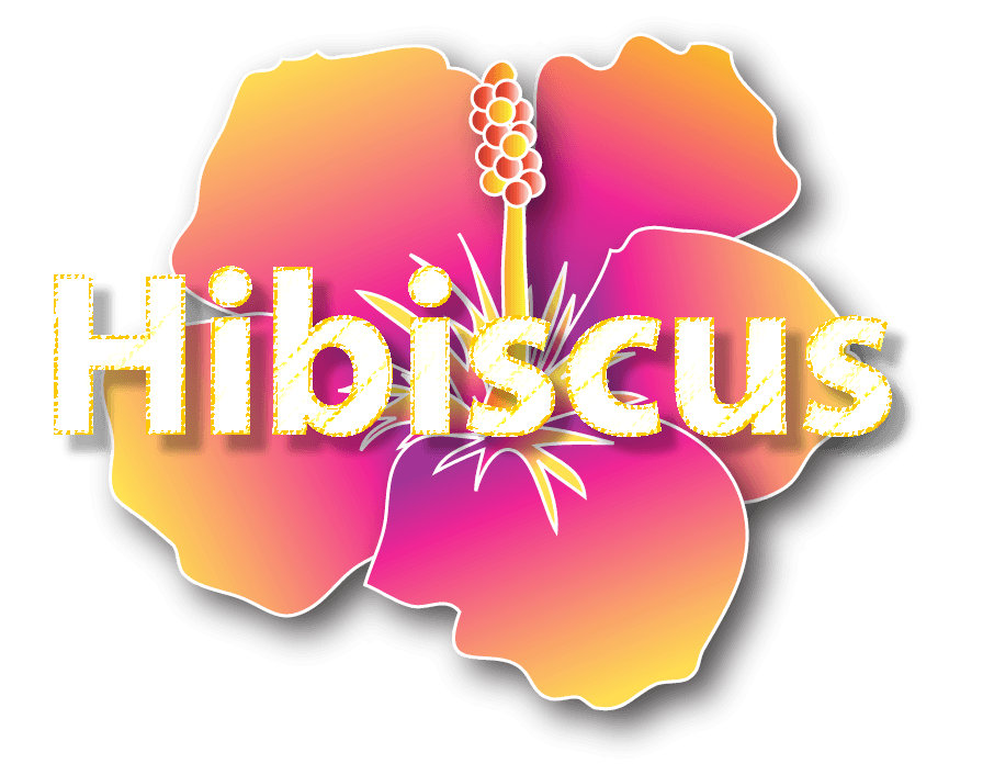 Hibiscus Logo - Hibiscus Logo 2 - Leftover LogosLeftover Logos