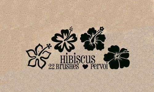 Hawaiian Flower Logo - Free and Fantastic Hibiscus Flower Photoshop Brushes - us23